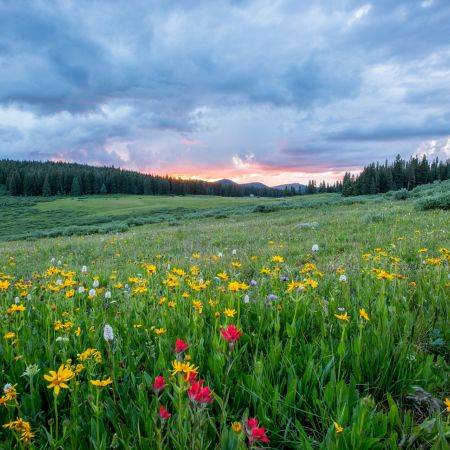 Spring in the mountains