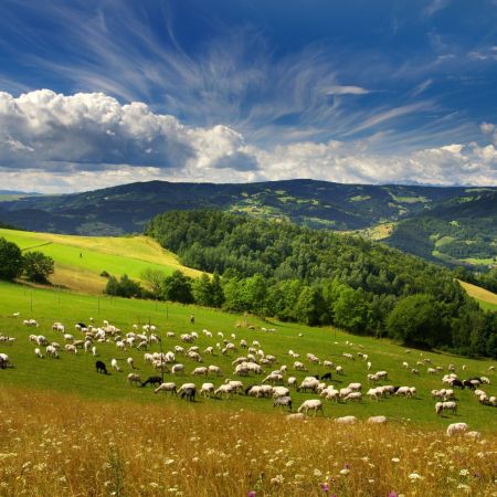 Długi Weekend Majowy