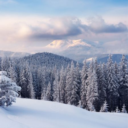 Ferie zimowe LAST MINUTE