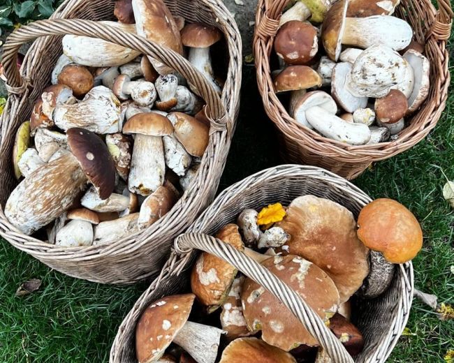 Fotorelacja: Warsztaty oddechowe </br>10 - 12.10.2025